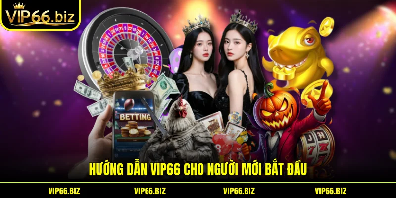 Hướng dẫn VIP66 cho người mới bắt đầu Hướng dẫn VIP66 cho người mới bắt đầu